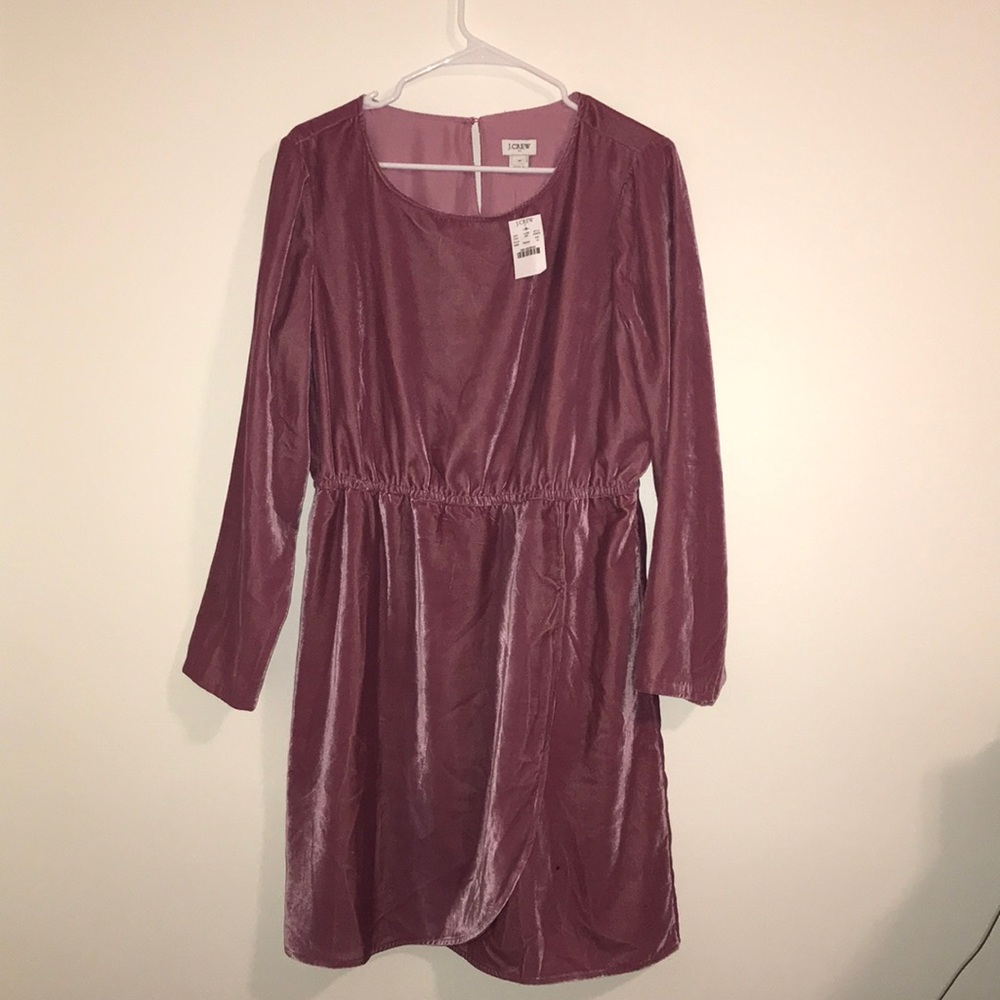 Jcrew- Pink Velvet Dress